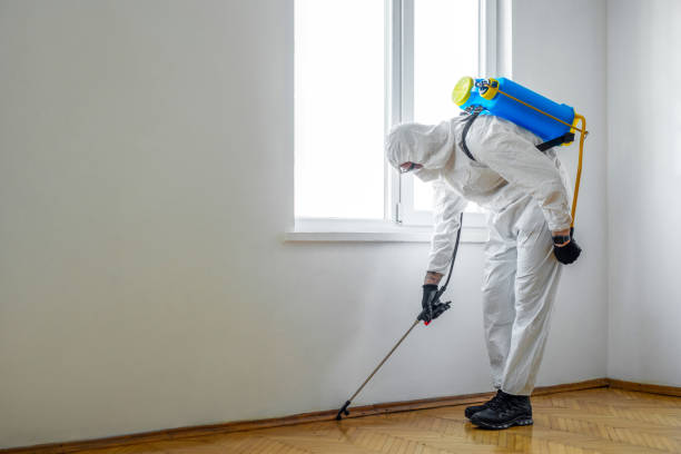 Reliable Cornwall, PA Pest Control Solutions