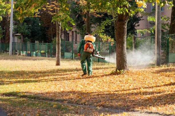 Best Pest Removal Services  in Cornwall, PA