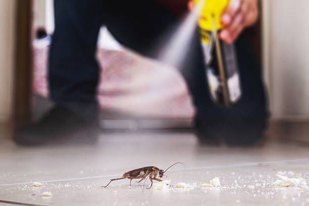 Best Wildlife Control Services  in Cornwall, PA